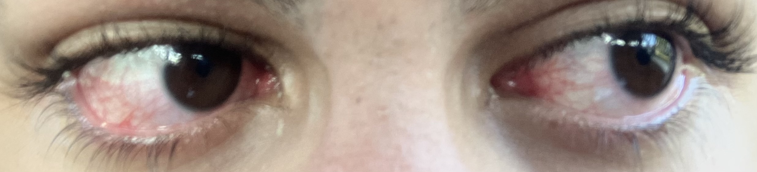 81C9538C 6FFA 4268 BFBE 5EC8A7EEC65F