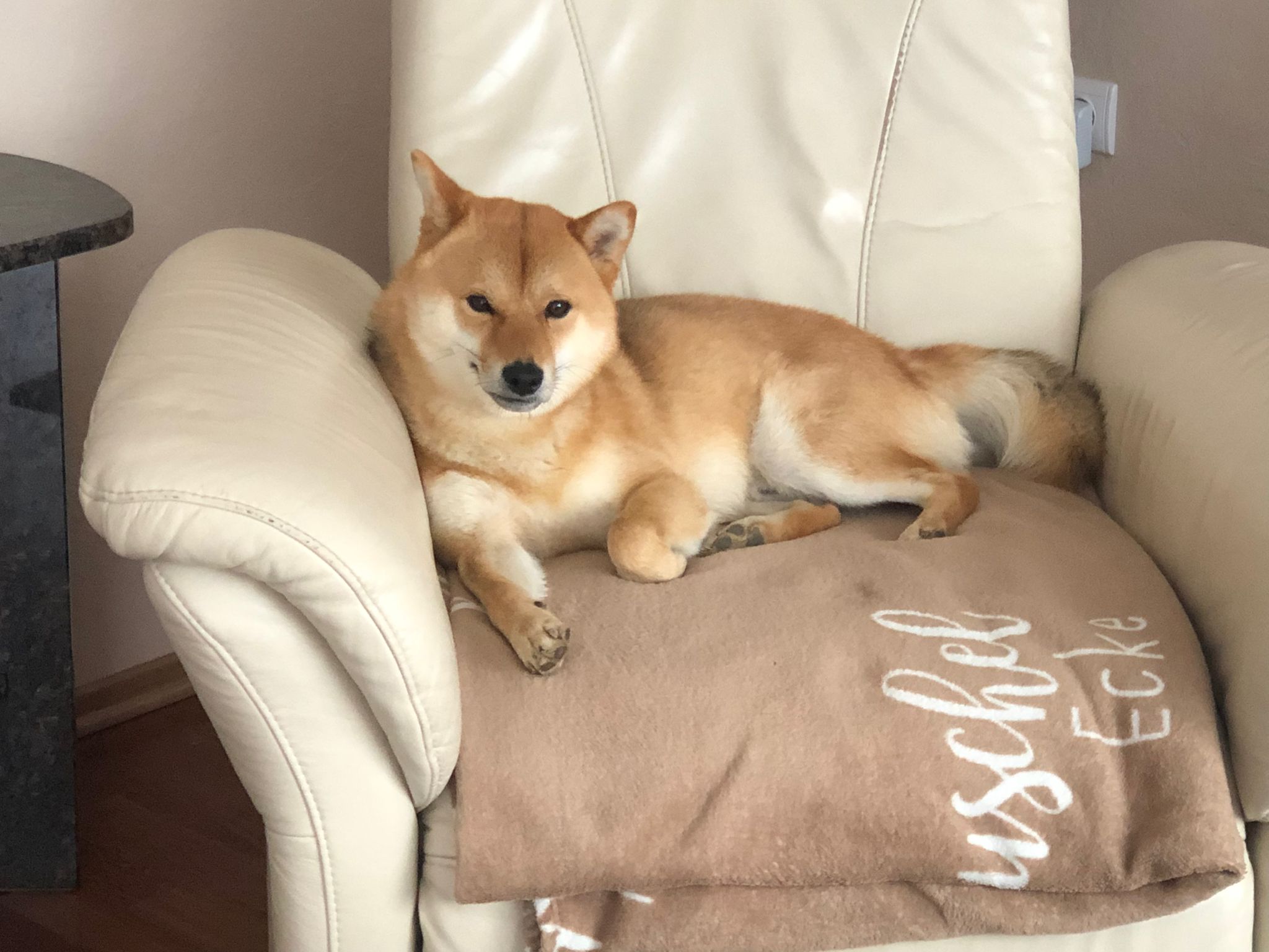 D55adc9d 0c1d 4f03 a9a1 c7514da64d78