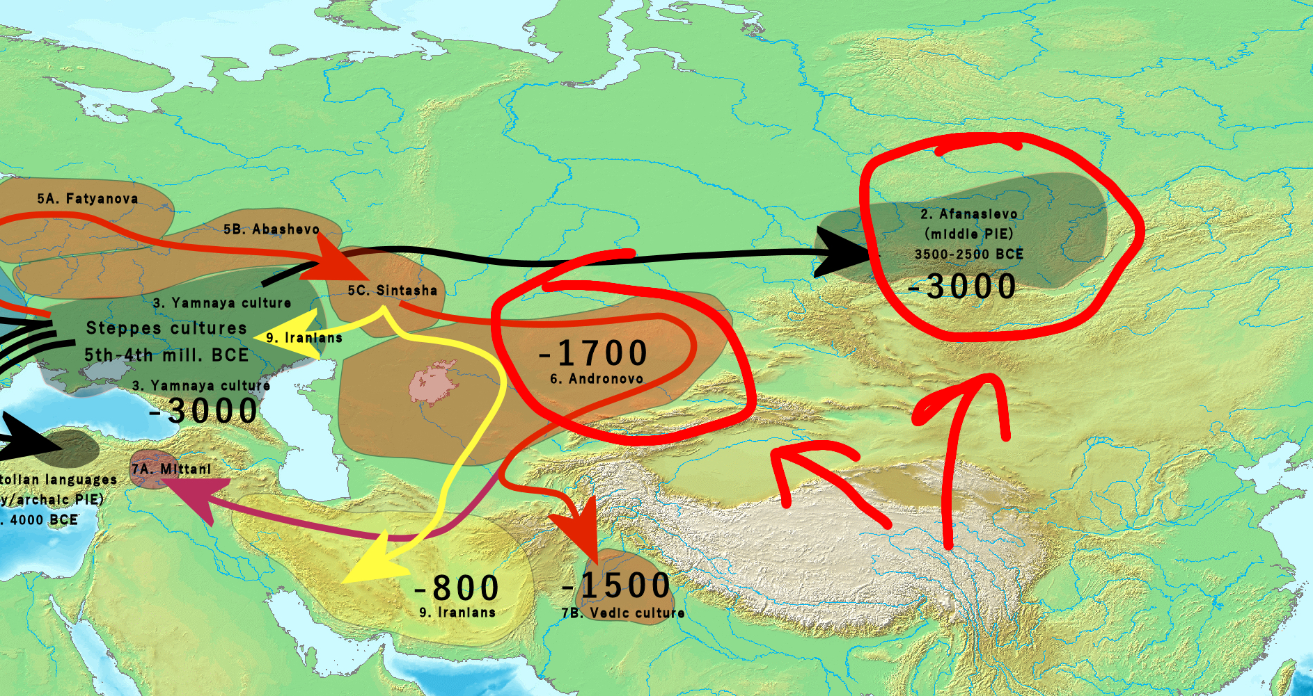 1000003424