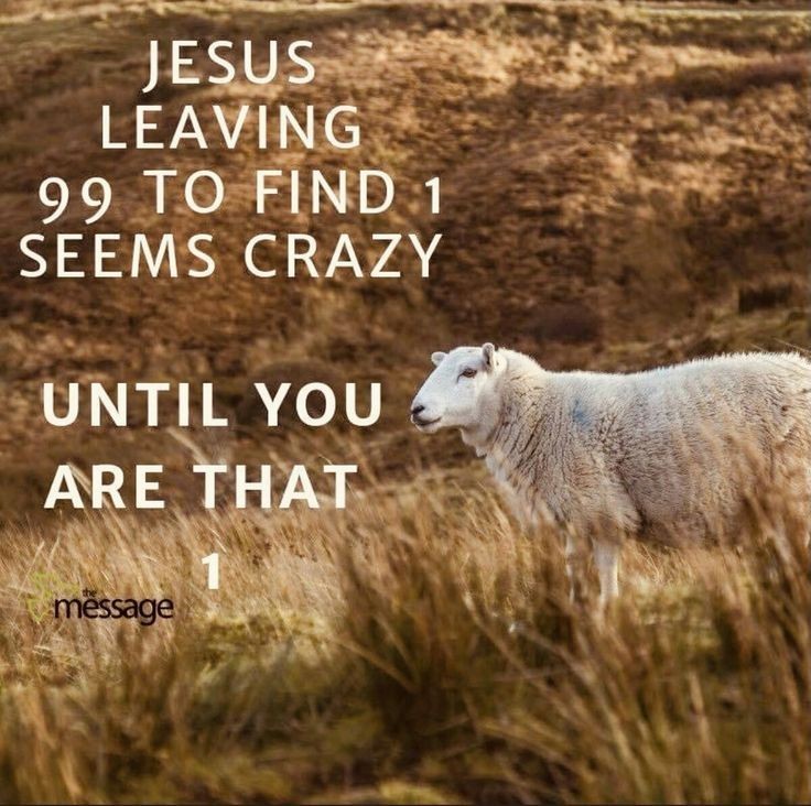 Tumblr b8a38745178c3034bab43a1da69f76a8 30bc4111 1280