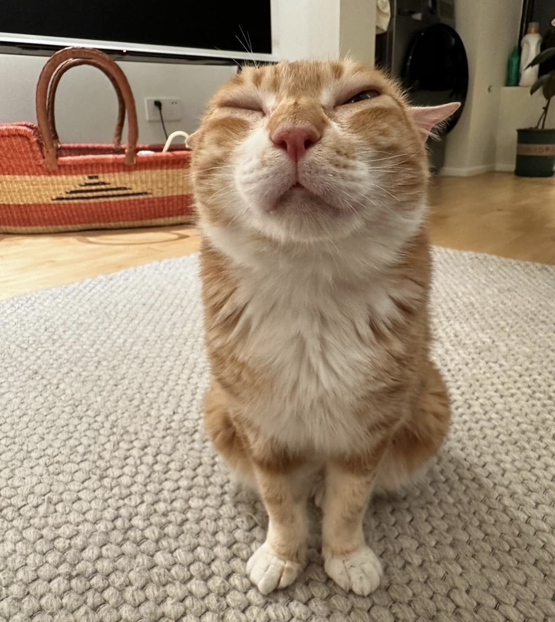 Screenshot 20240508 1051192