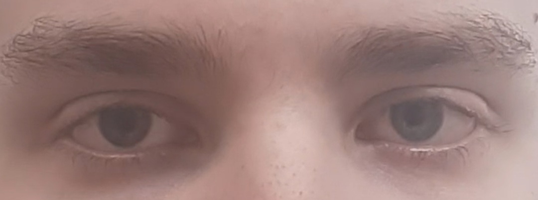 Screenshot 20240510 210947 Gallery