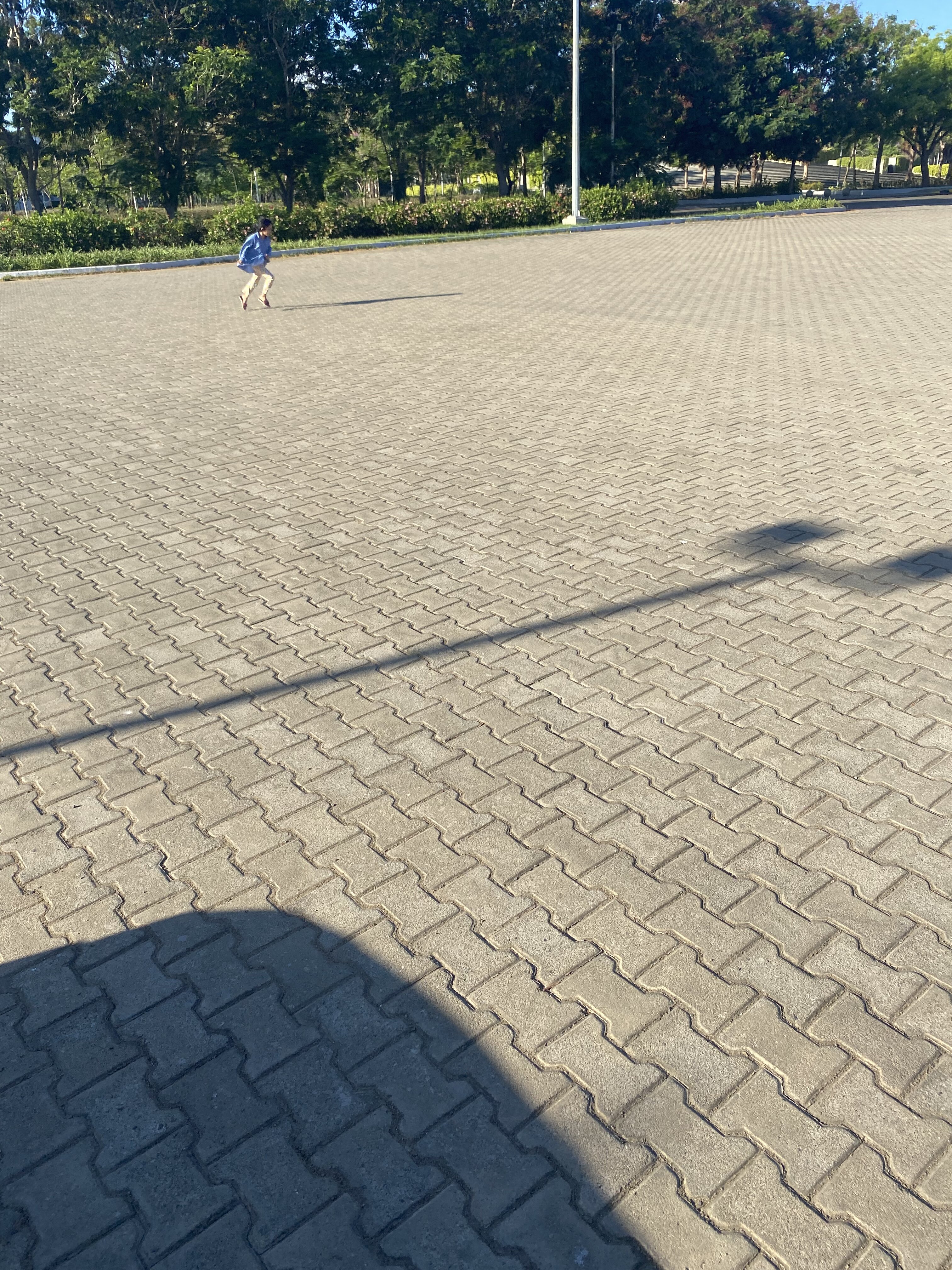 F91FFFC1 76F5 43C7 884E 001BCCF75585