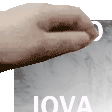 Jova pat