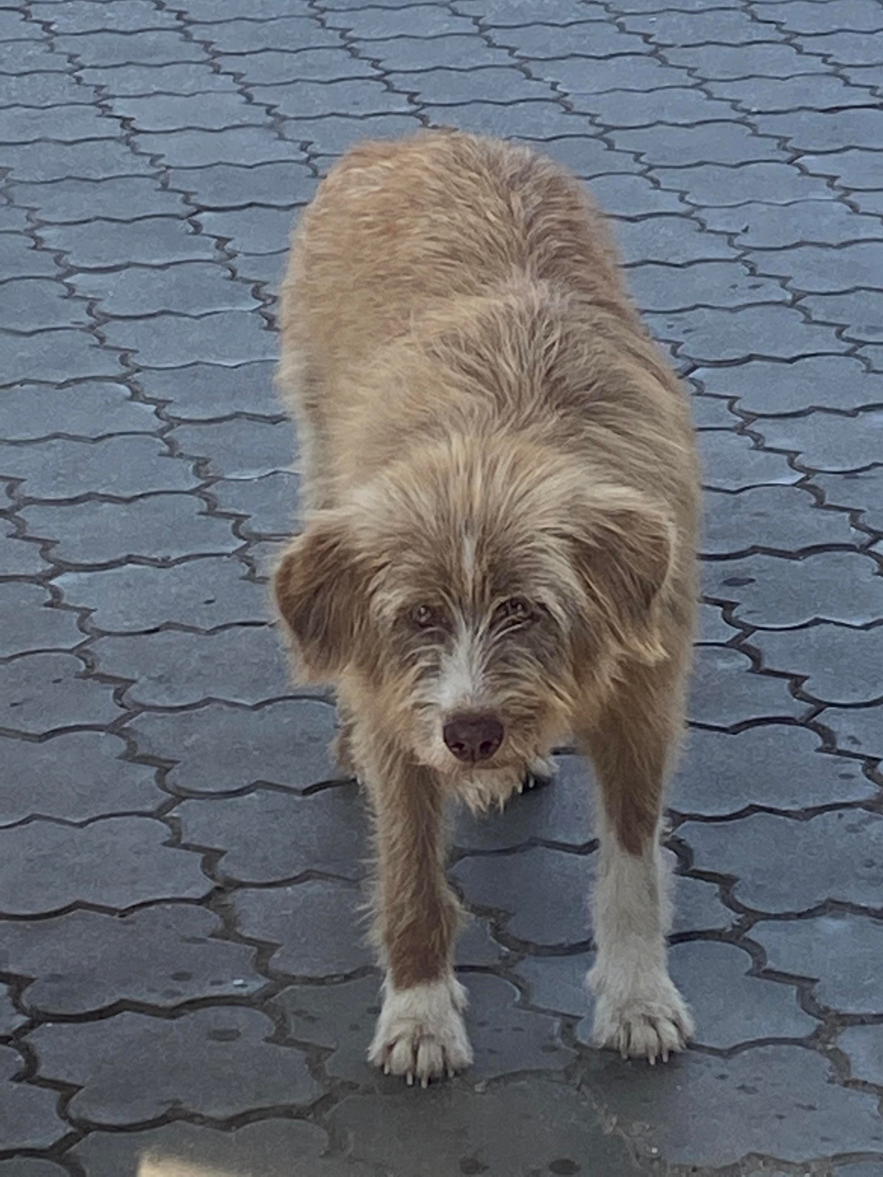 294995909 548258087081474 5338509344015635507 n