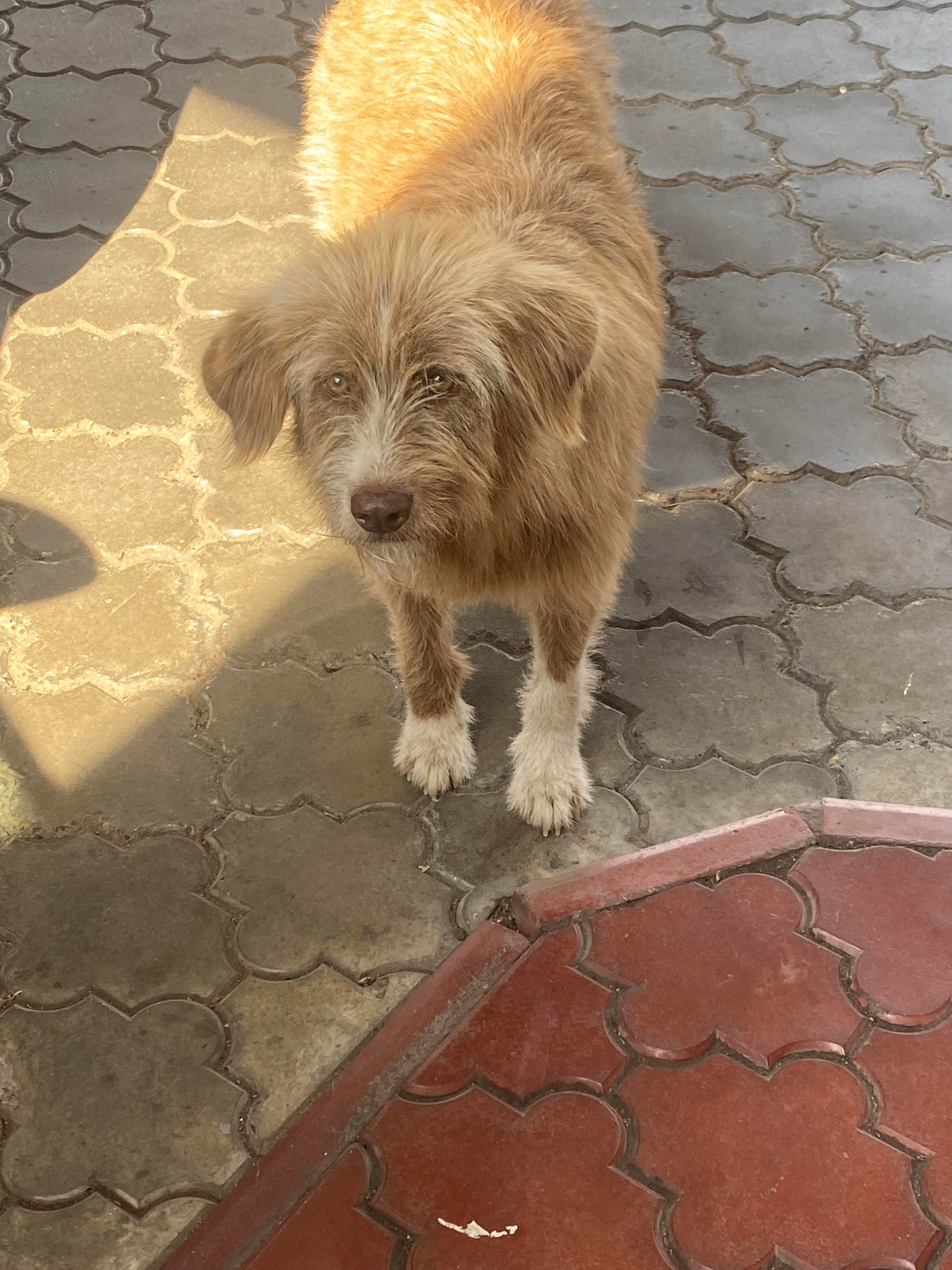 295645334 336450145368949 5875501269666544049 n