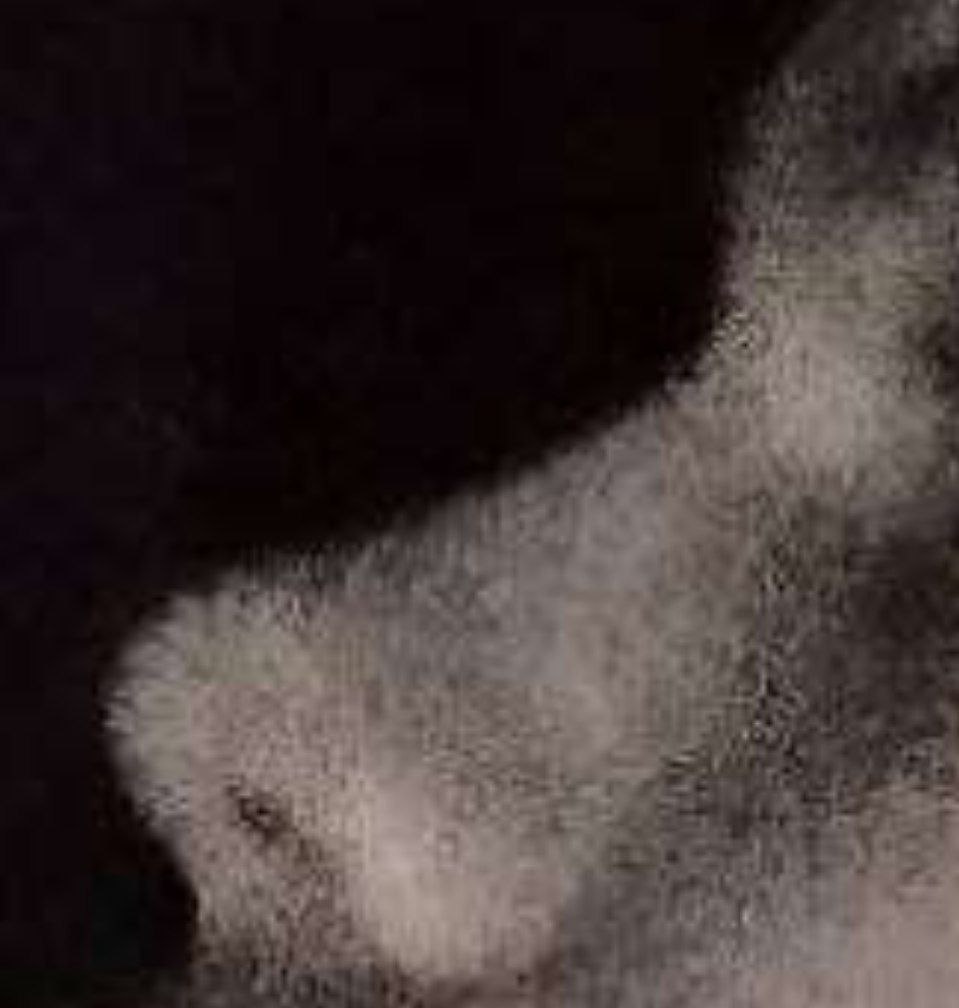 IMG 20240513 052009 444