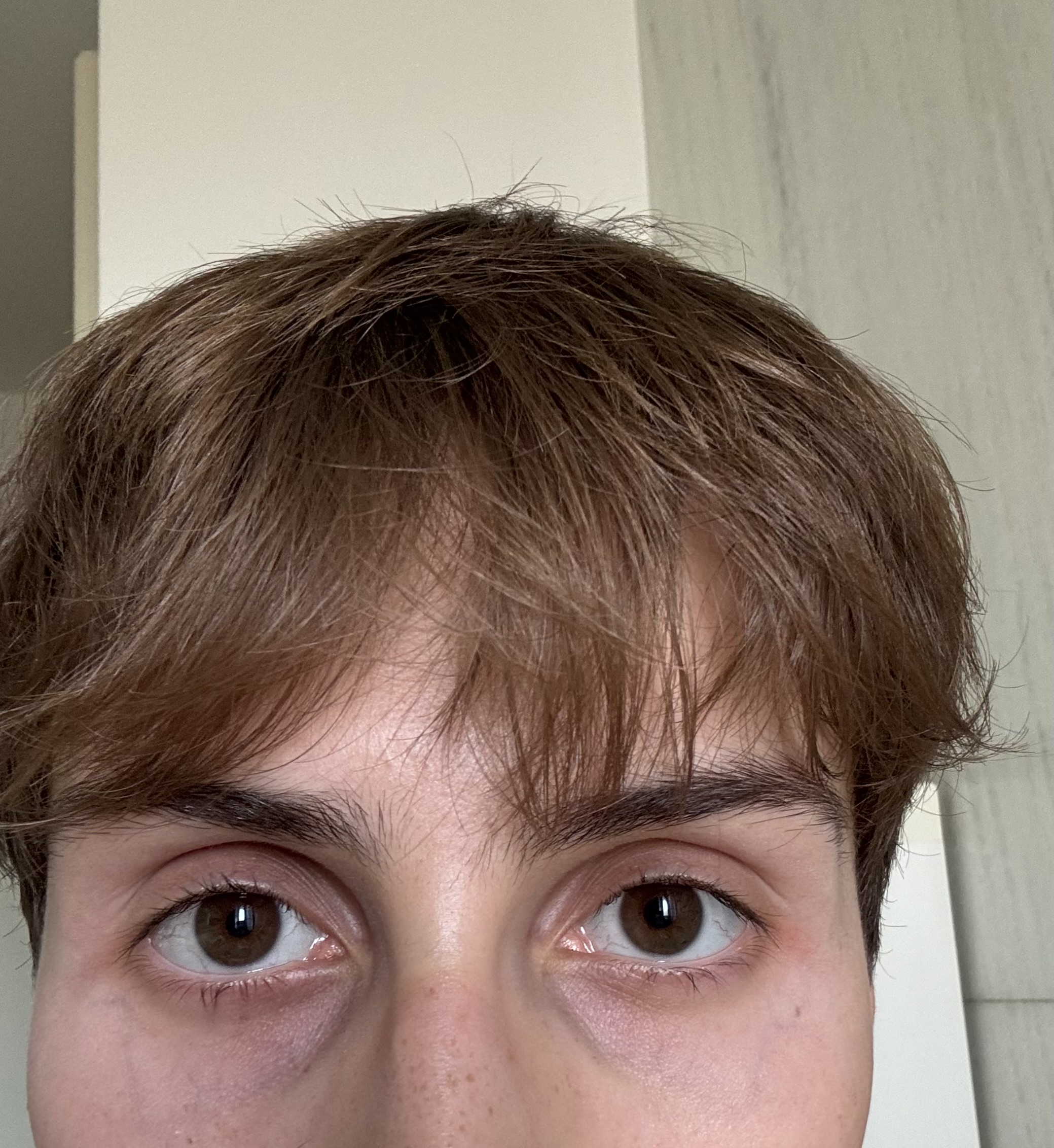 IMG 1150