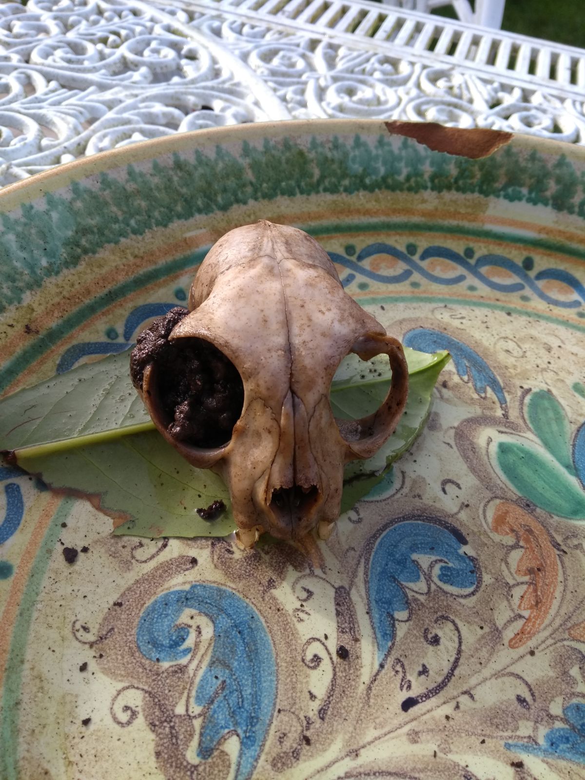 D8A874B3 CAF3 4FB9 9D34 A7529796D7AD