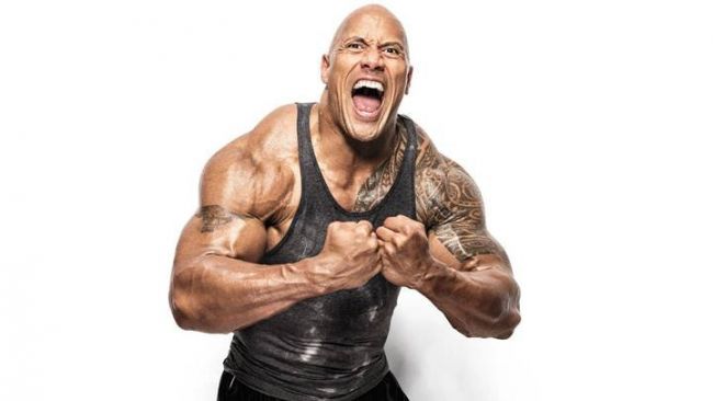 Dwaynejohnsoninte 3685353 Dwaynejohnsoninte 3685353