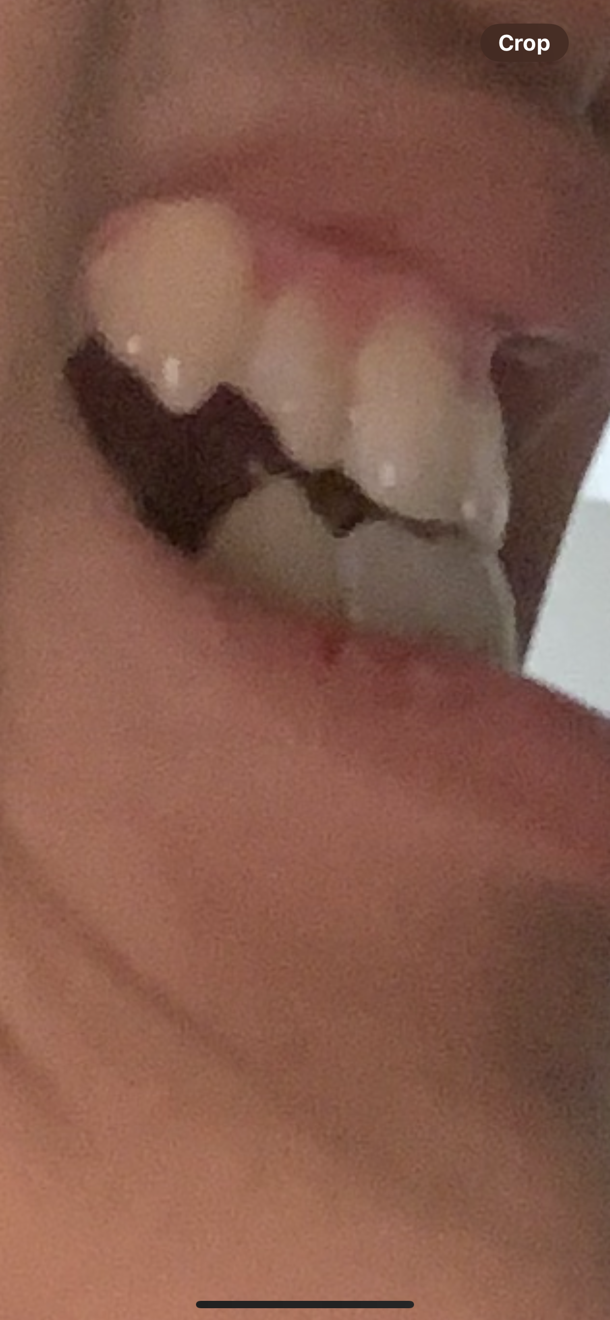 IMG 2602