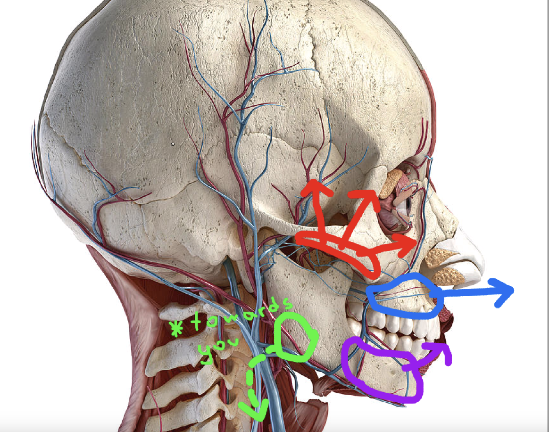 1715913192520