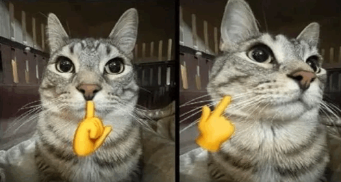 Mewing cat