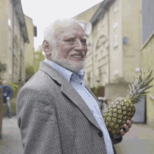 Harold hide the pain harold