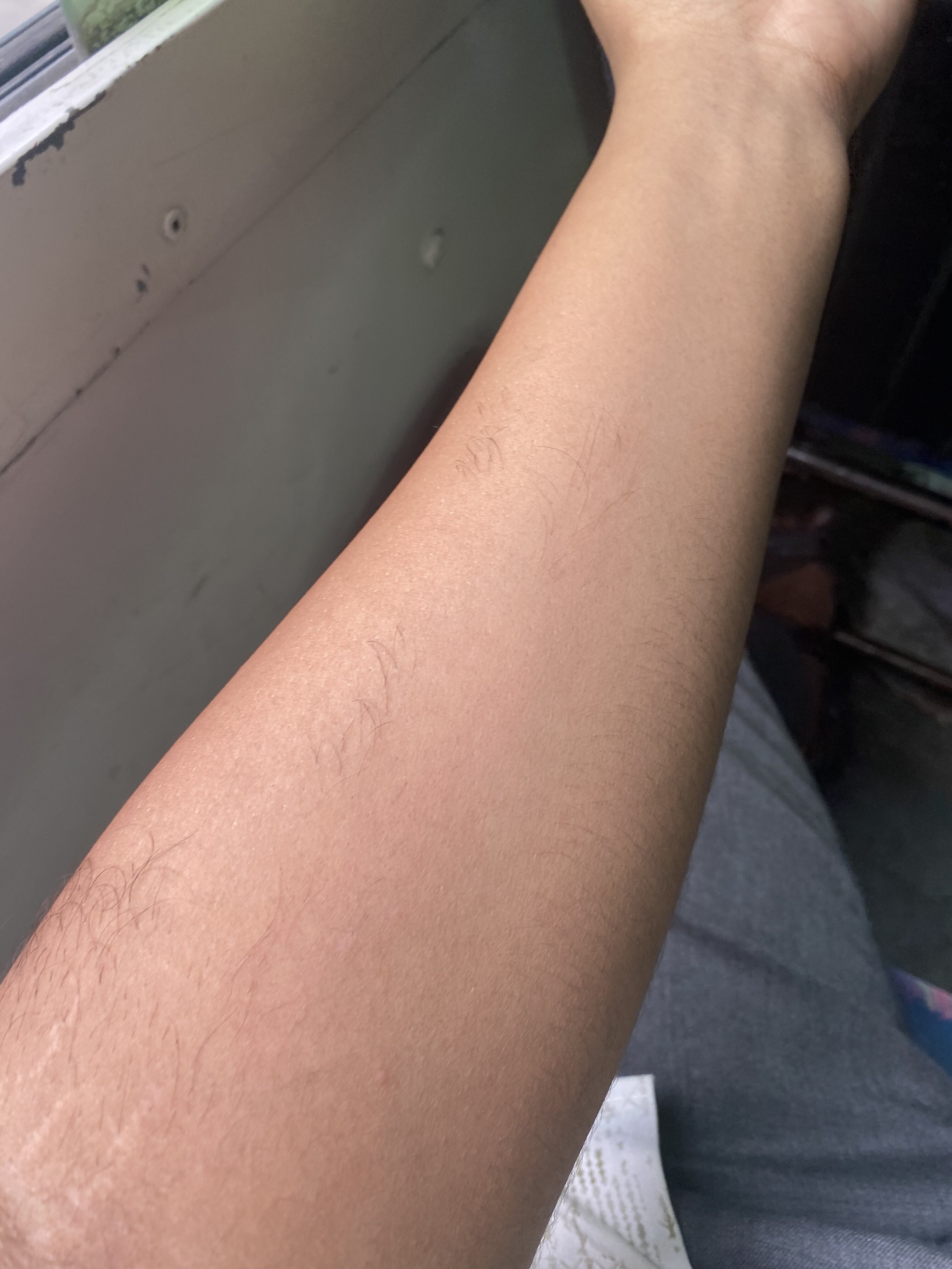 CE0C0ABA D40D 43E4 9E98 1CA9B94F1E01