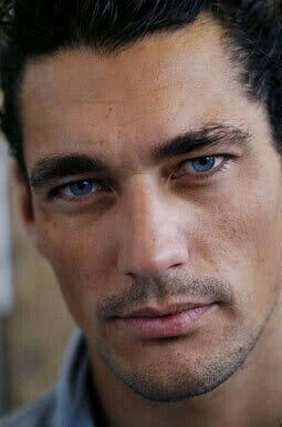 28b79deb6543423f222eebd74fc656c5