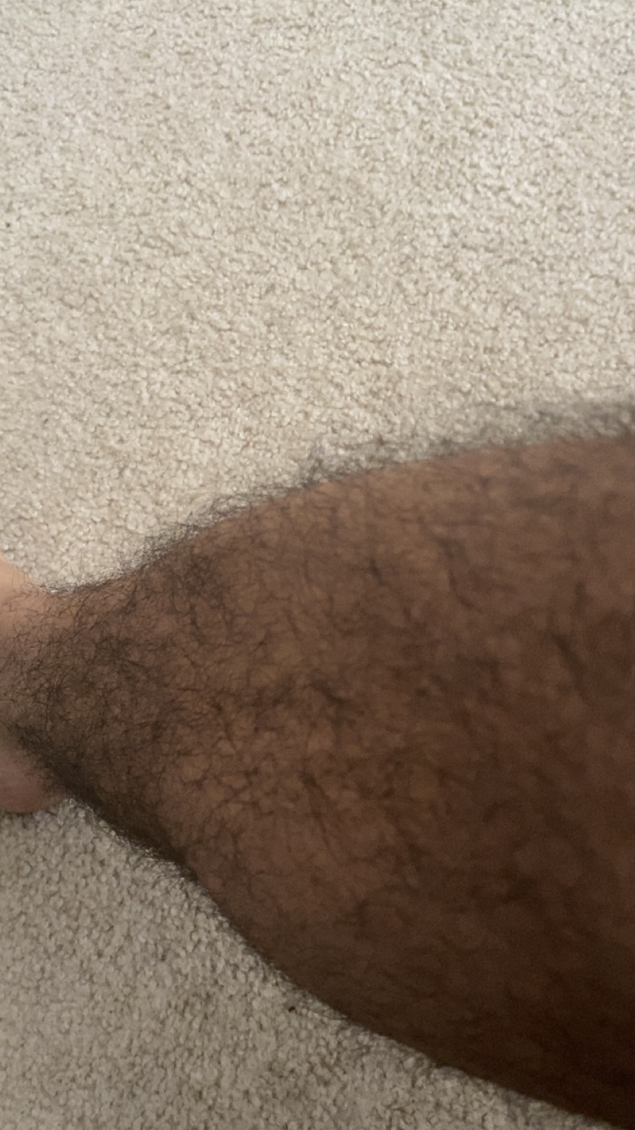 IMG 0322