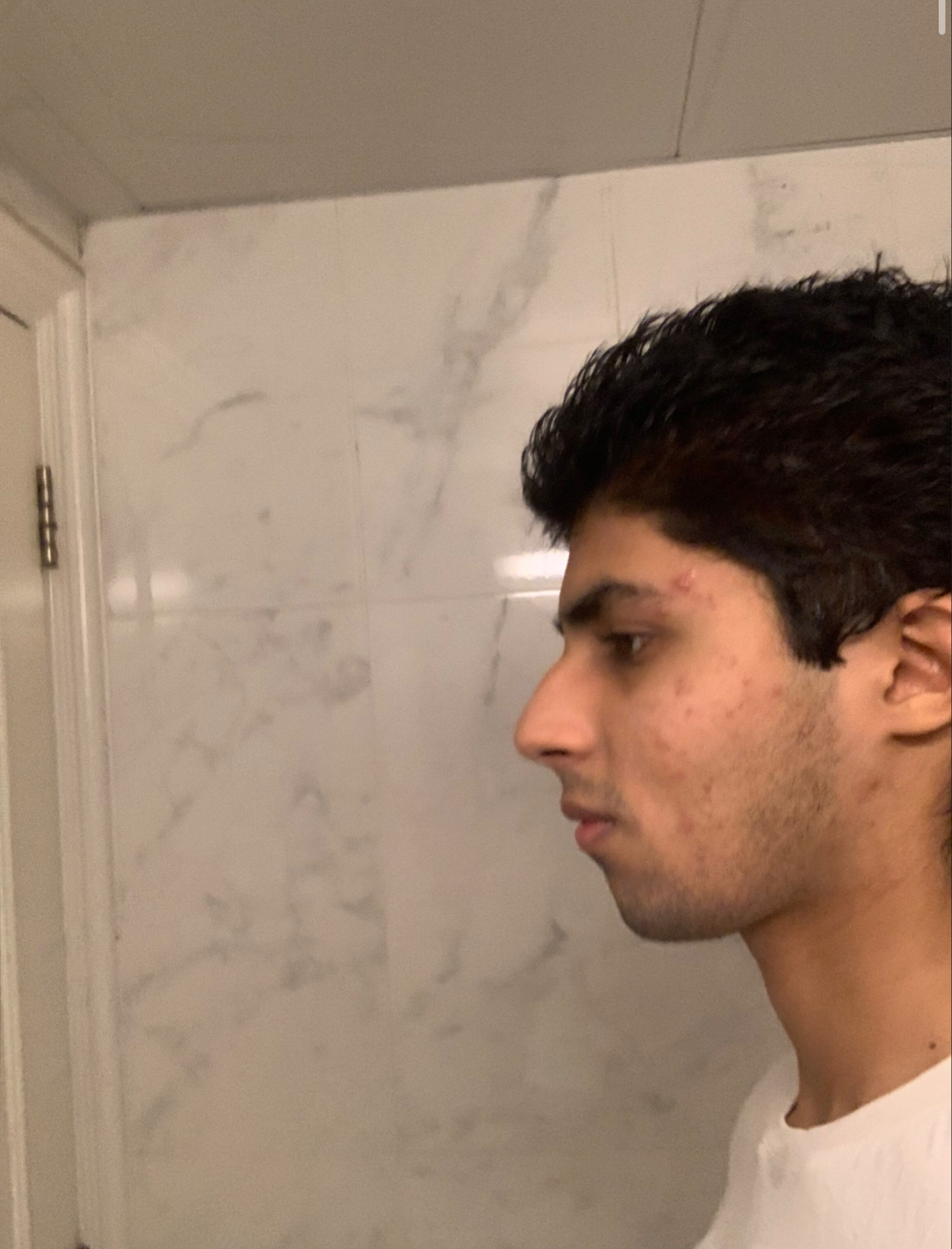 IMG 0323