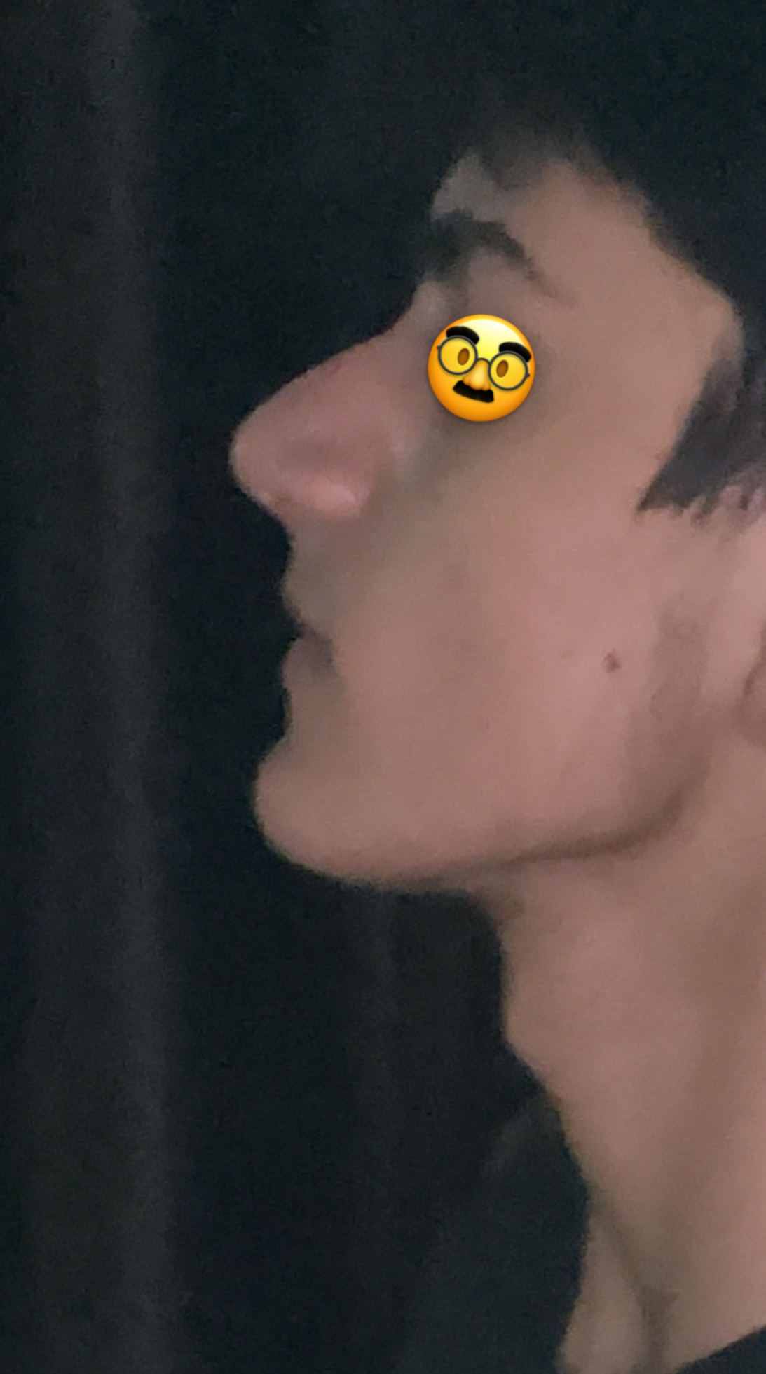 IMG 0329