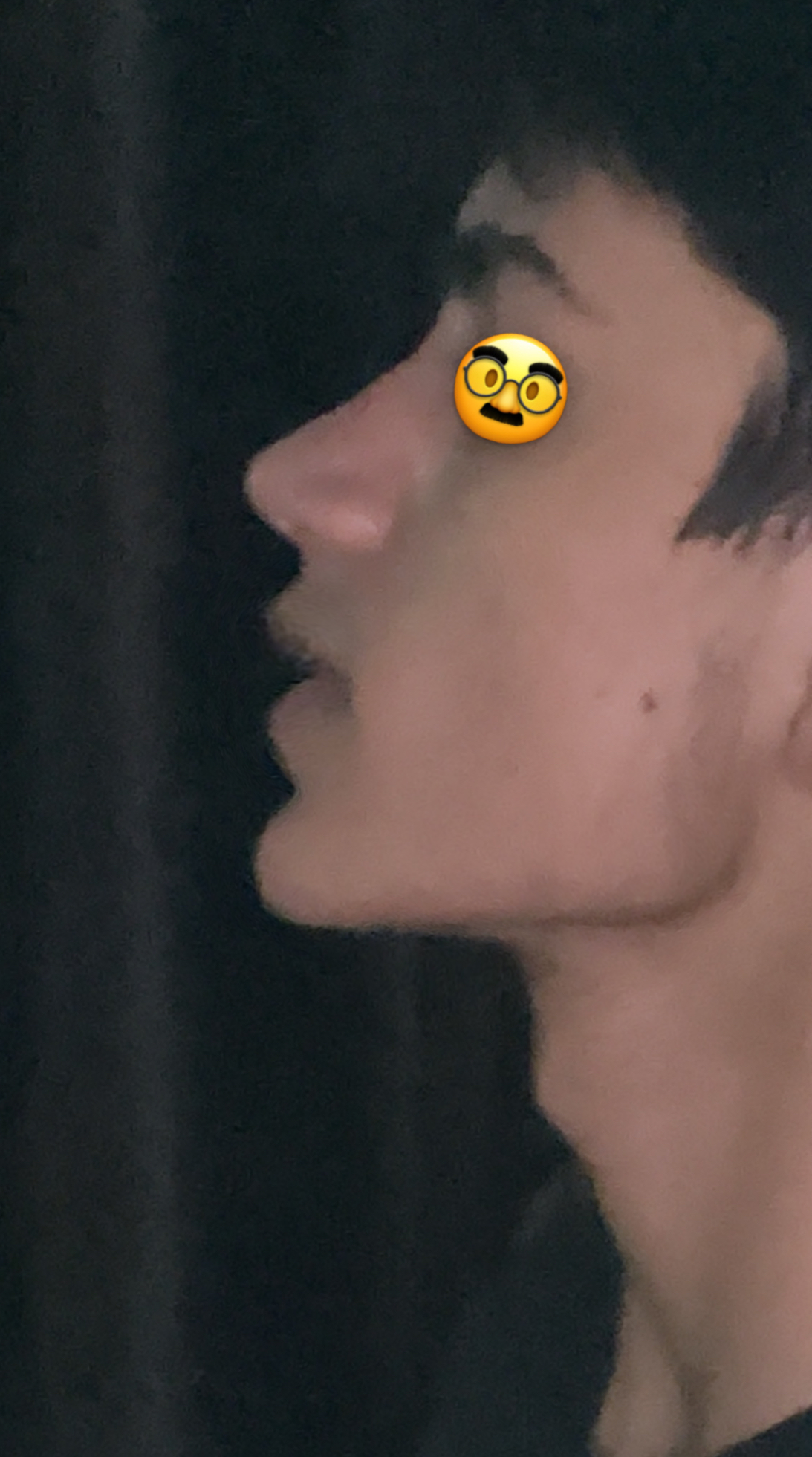 IMG 0330
