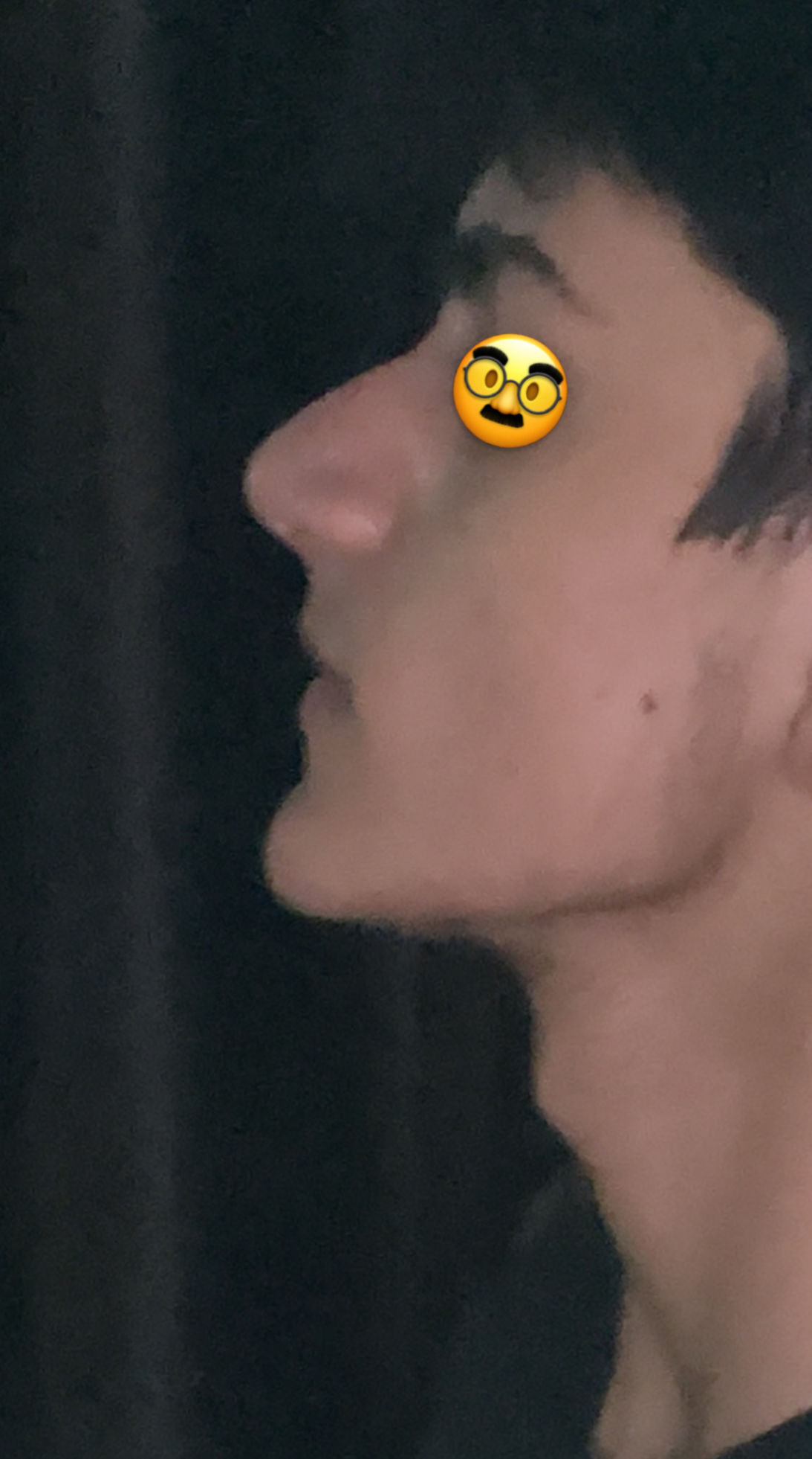 IMG 0337