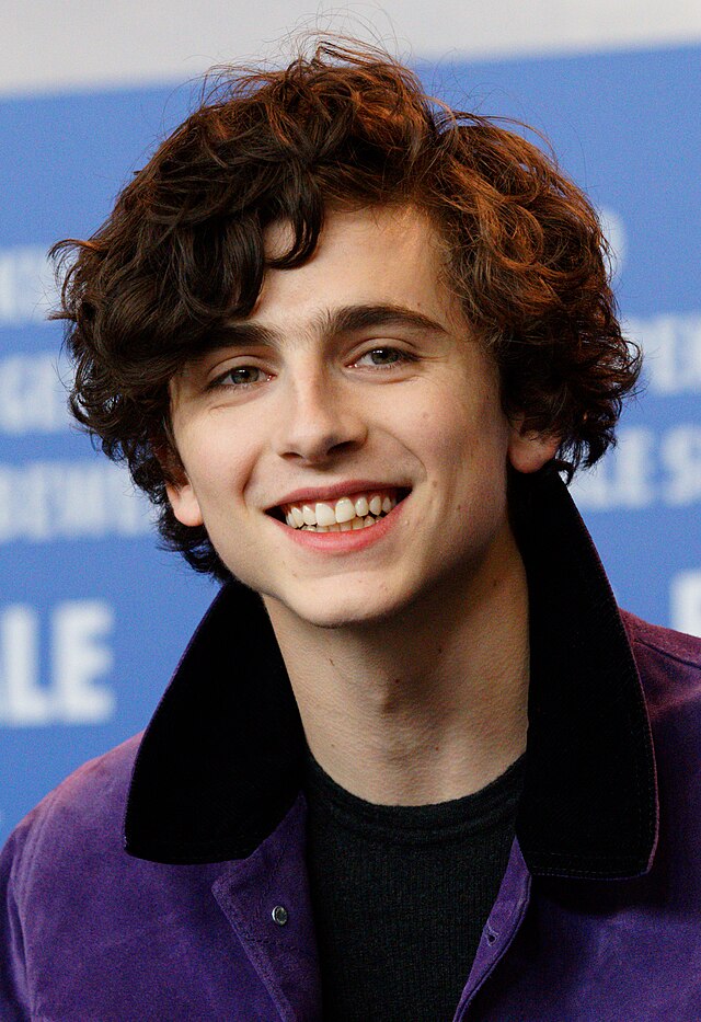 Timothe Chalamet 2017 Berlinale