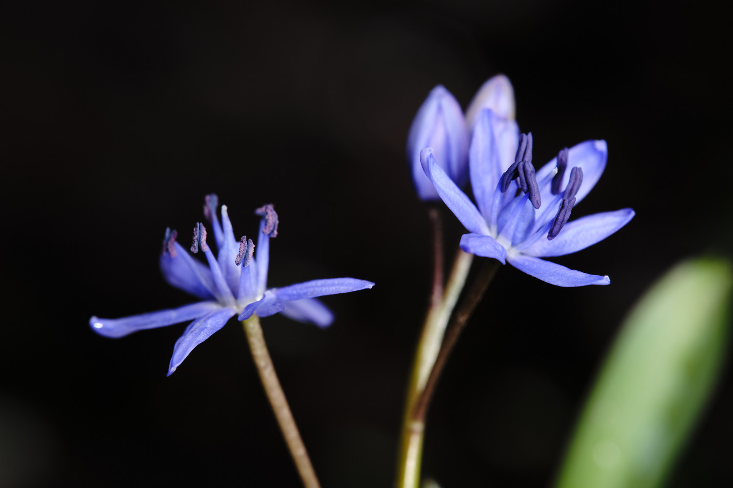 C1454641 F9D7 4E55 9DE2 1ECB4EB52558