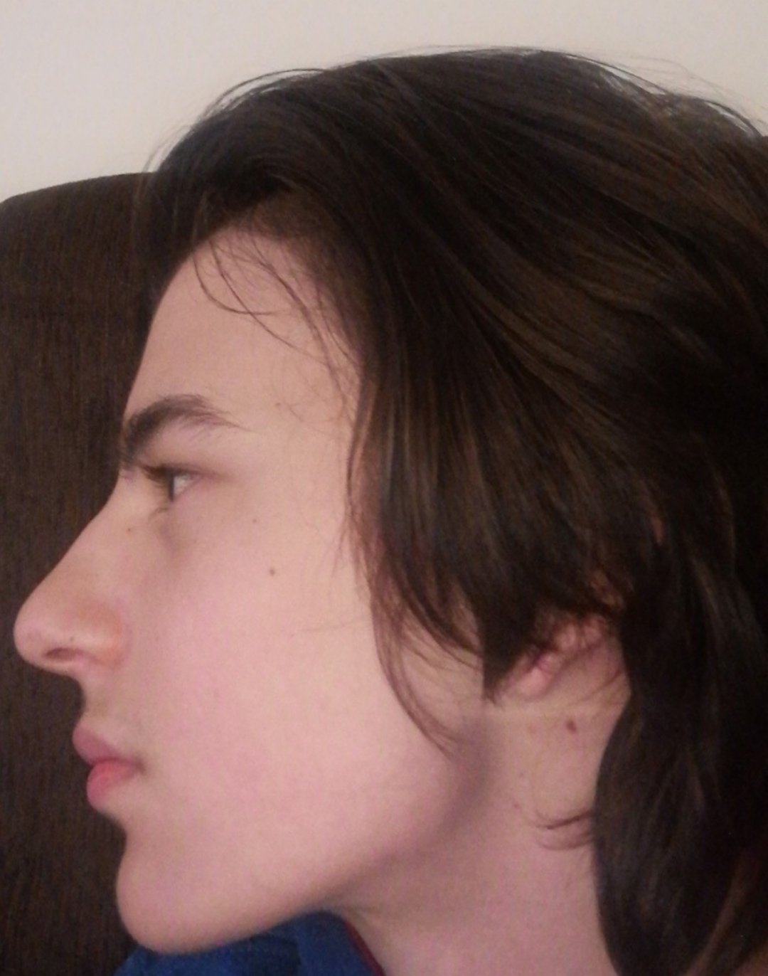 Orca image  1381372156