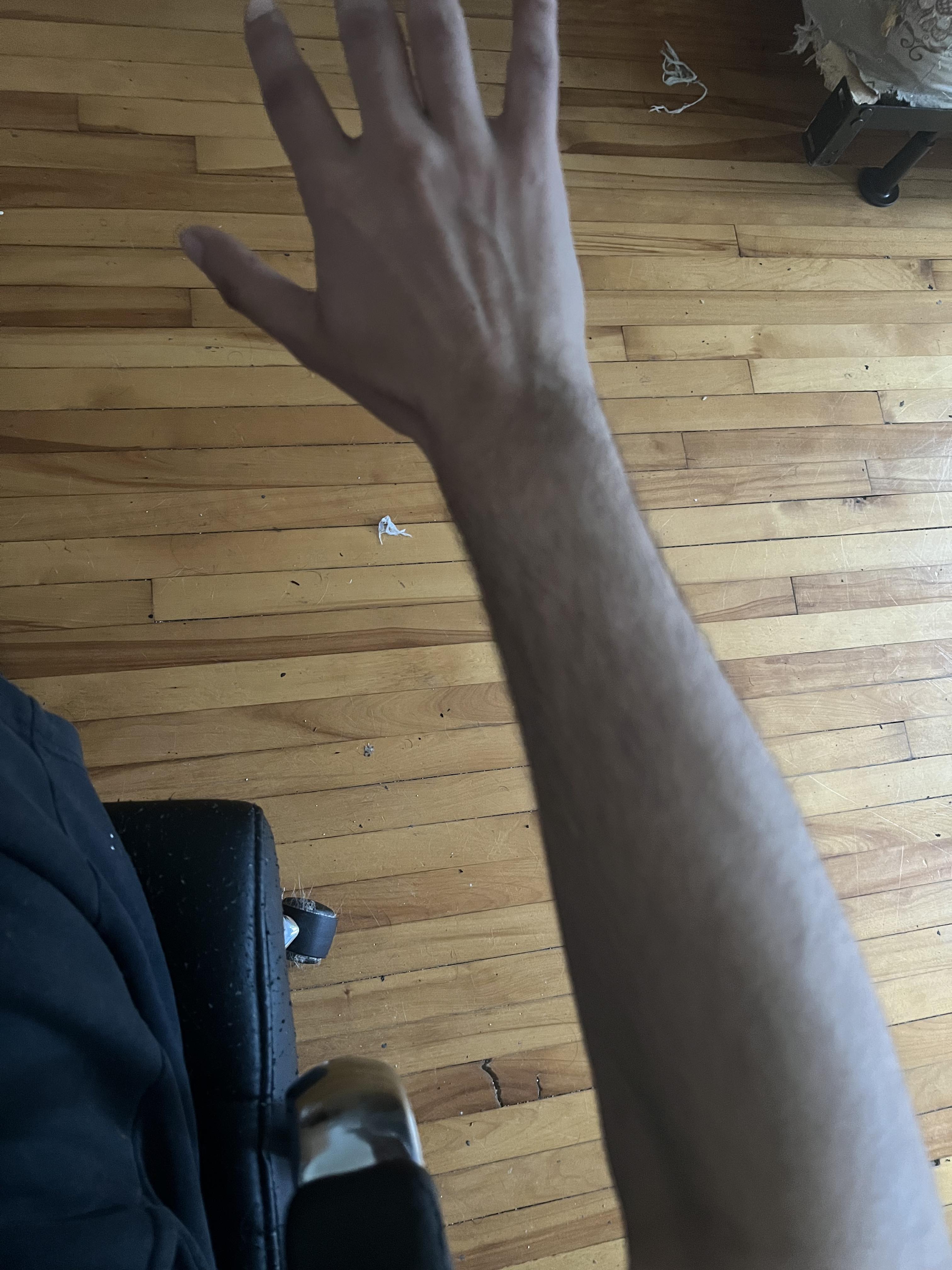 438095013 947748670417402 8180210665965267641 n