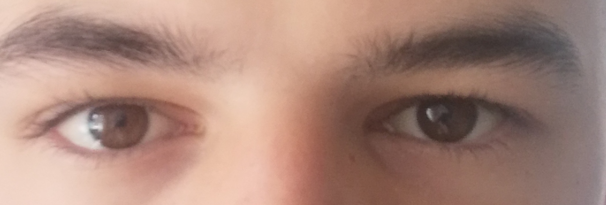 IMG 20240528 135508 edit 37503702552089