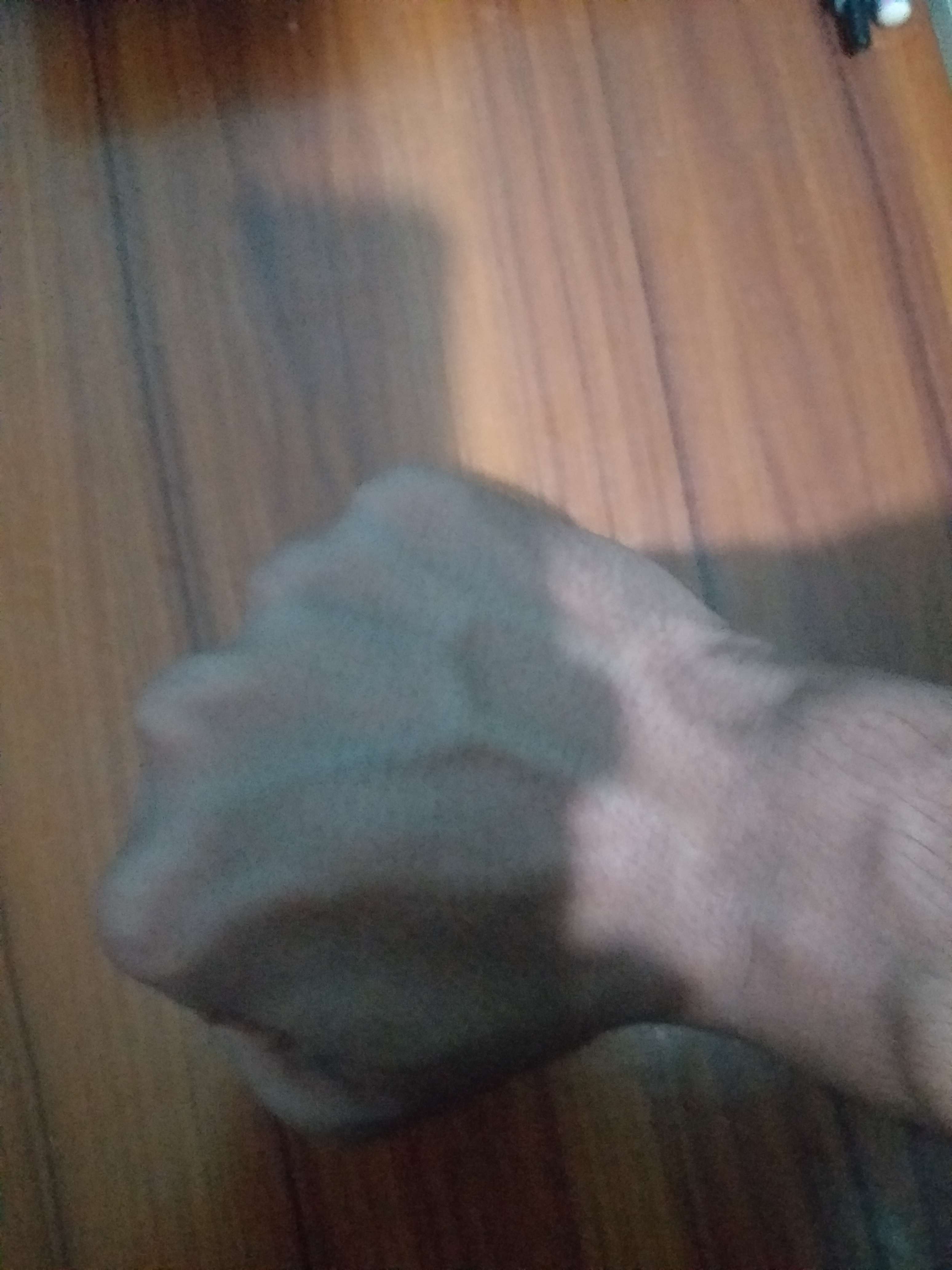 275393964038 275393964038