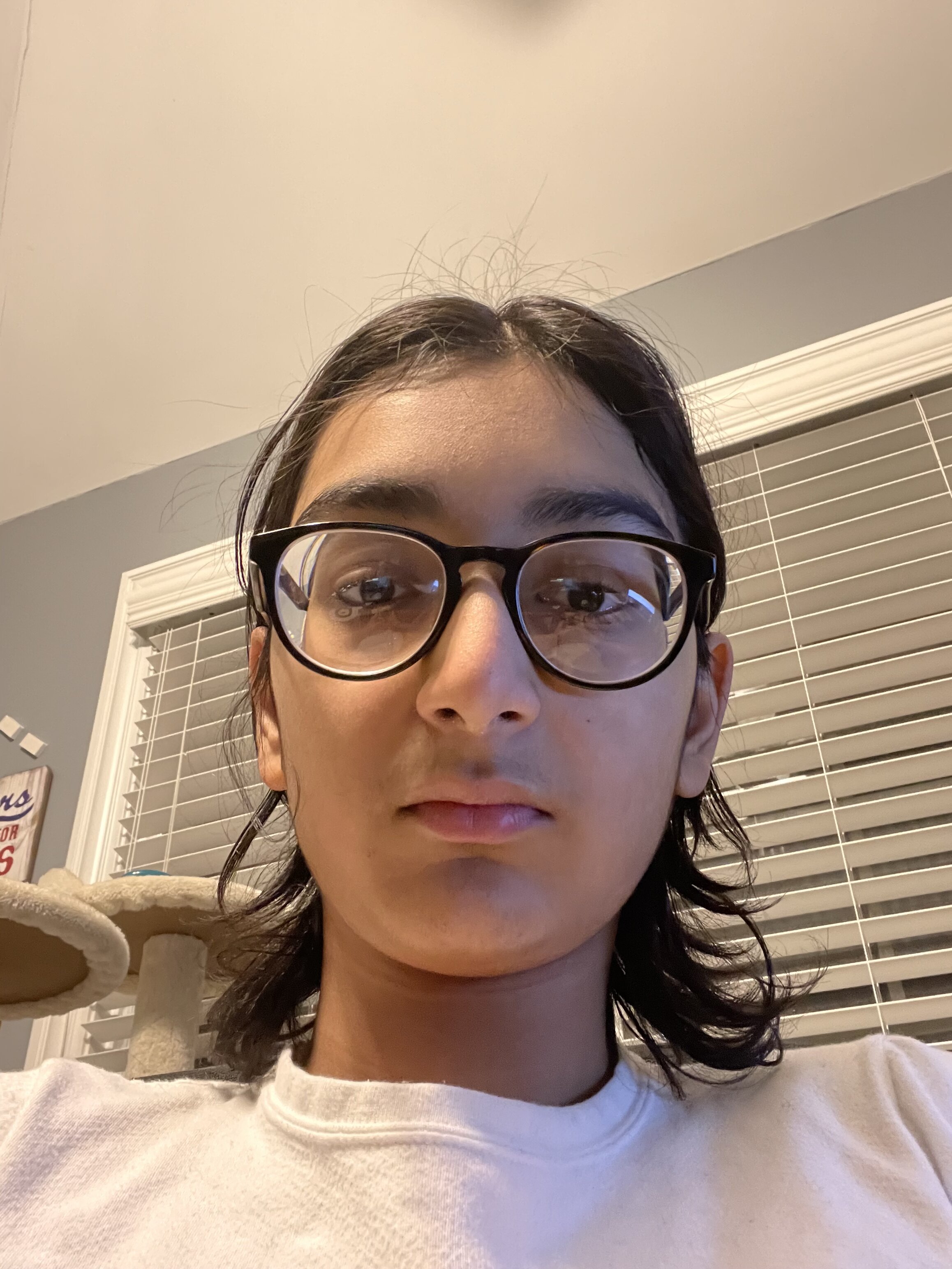 IMG 0820