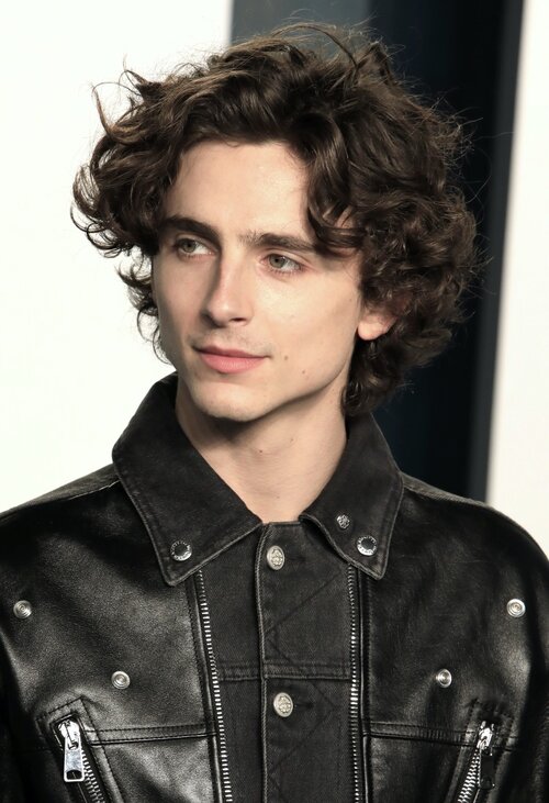 Timothee-Chalamet-Hair-2022.jpg