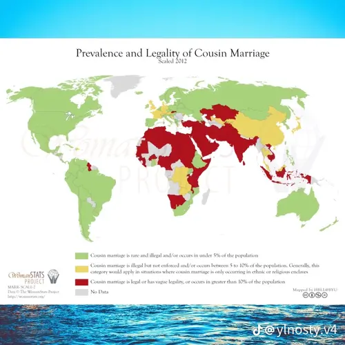 Dcc68699b70a5d3713ddd1c3cf8de586