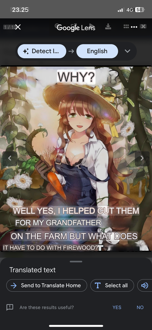 IMG_7268.png