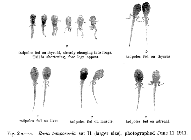 16E4B47B F8D2 40DF A49D B376074D3CC2