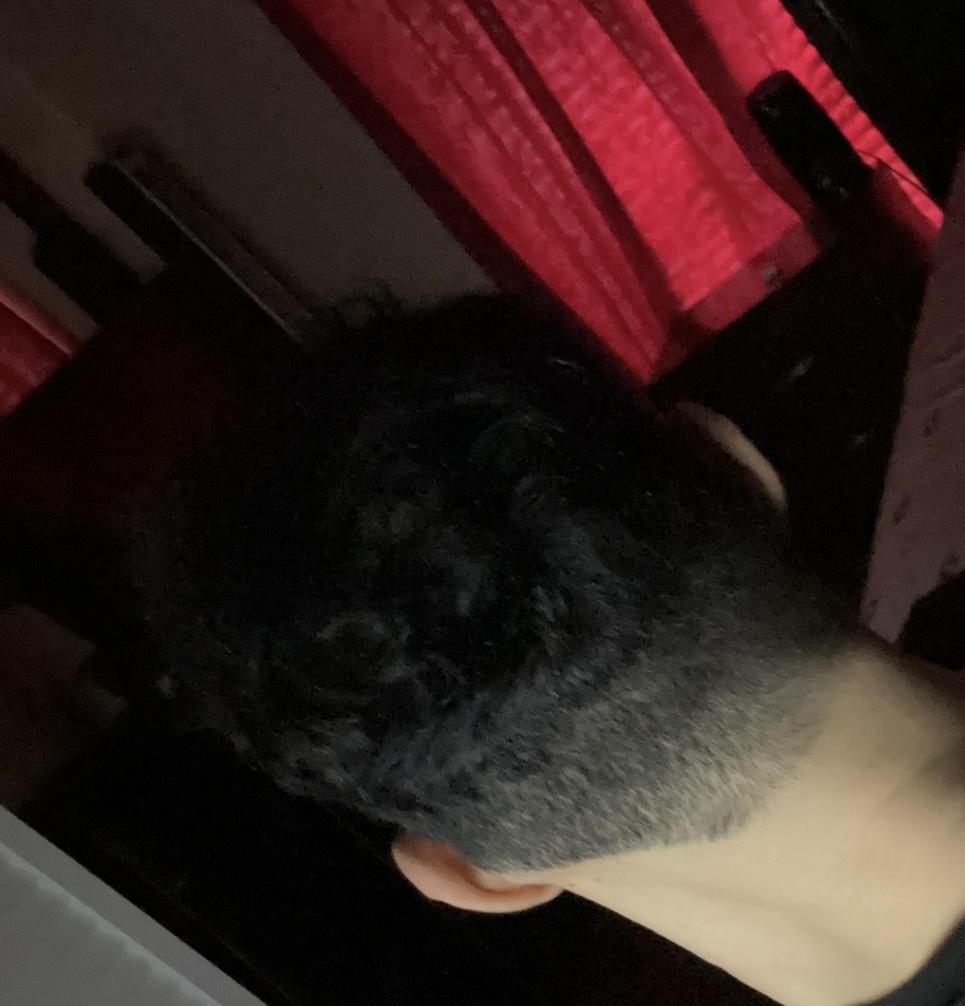 IMG 4520