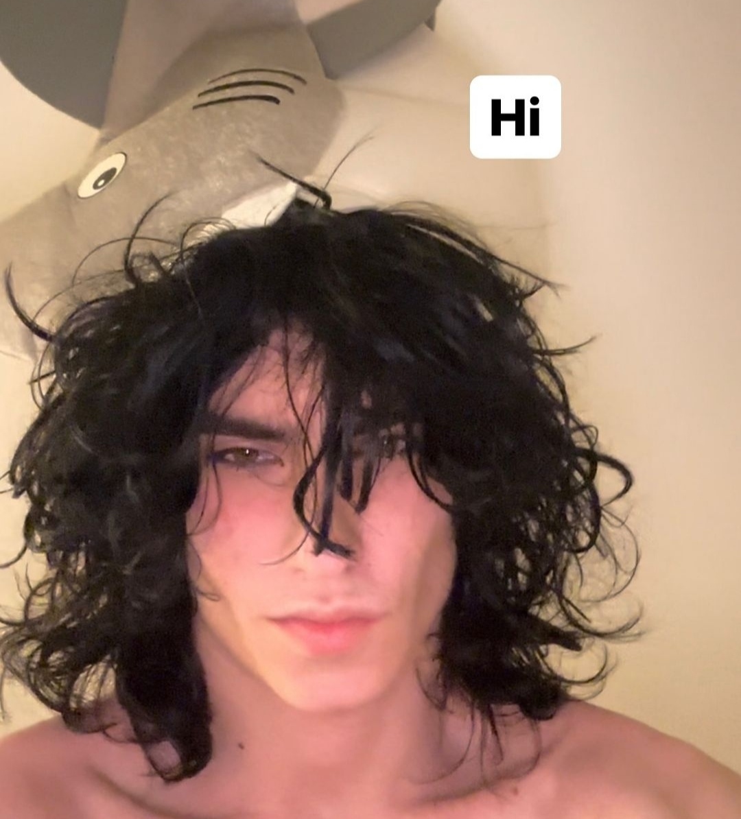 Horse Horse
