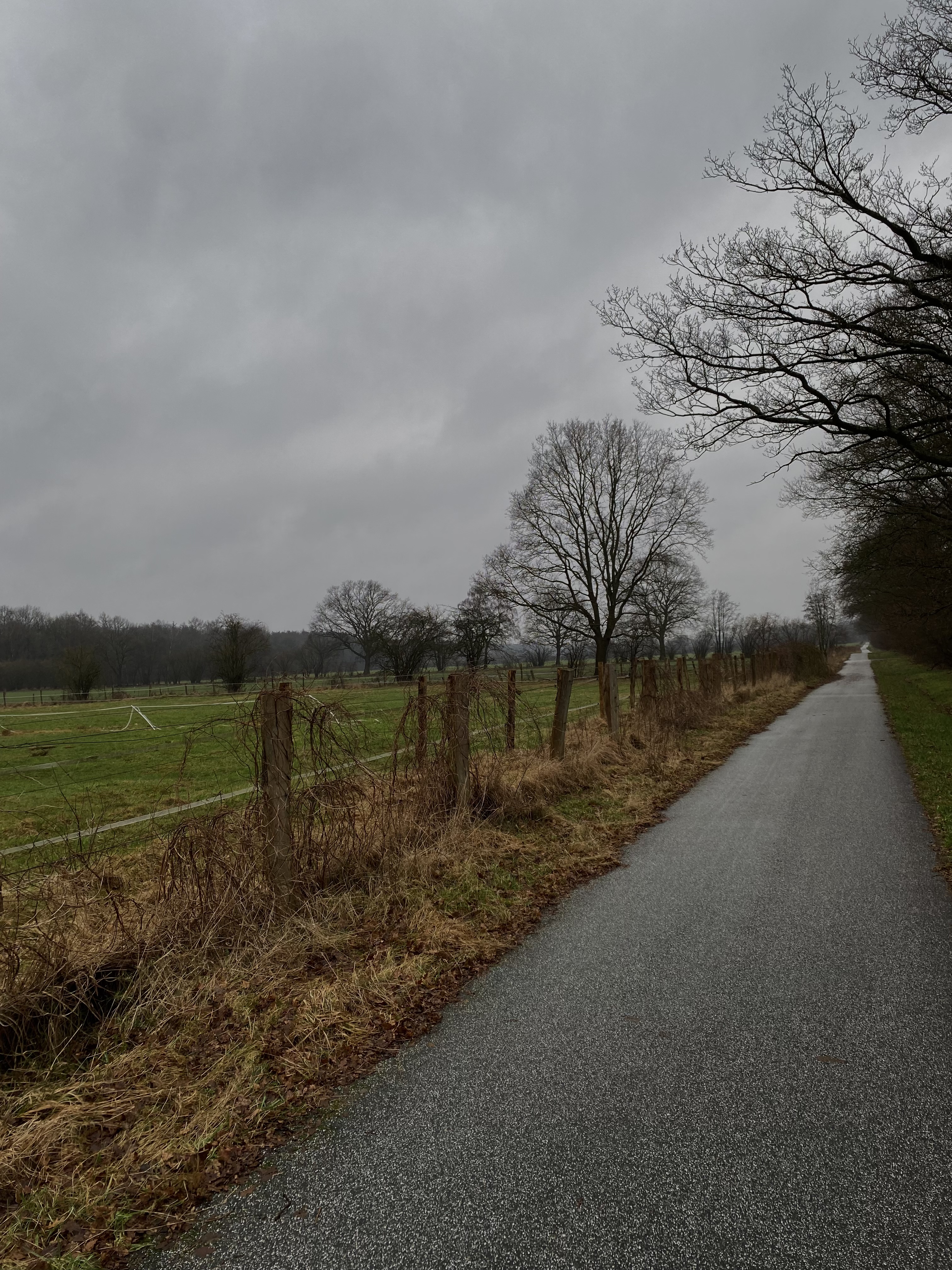 240D81F7 16AD 4BED 87D0 A0E0EA77D744