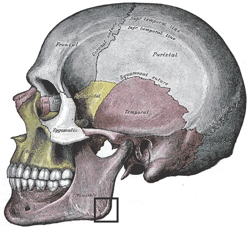 How To Bonesmash Gonions Looksmax Men s Self Improvement 