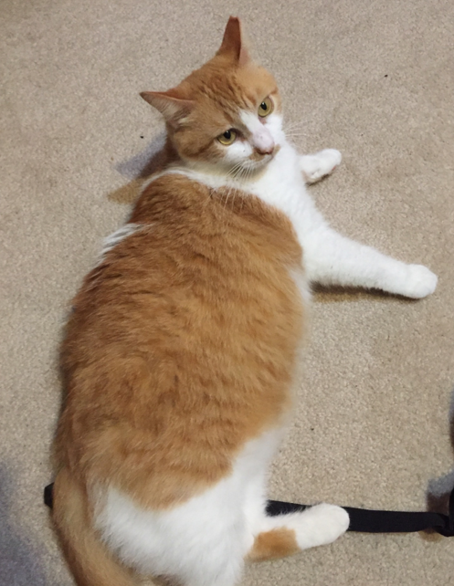 8b07144d567324c22e2f7be62a20f39e