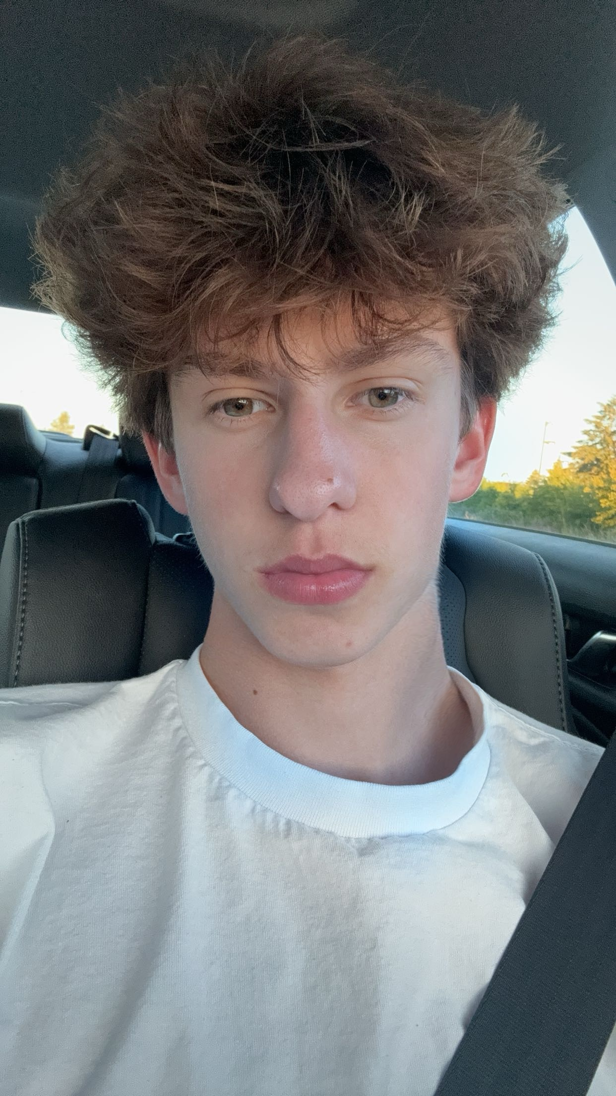 Untitled127 20240608105127