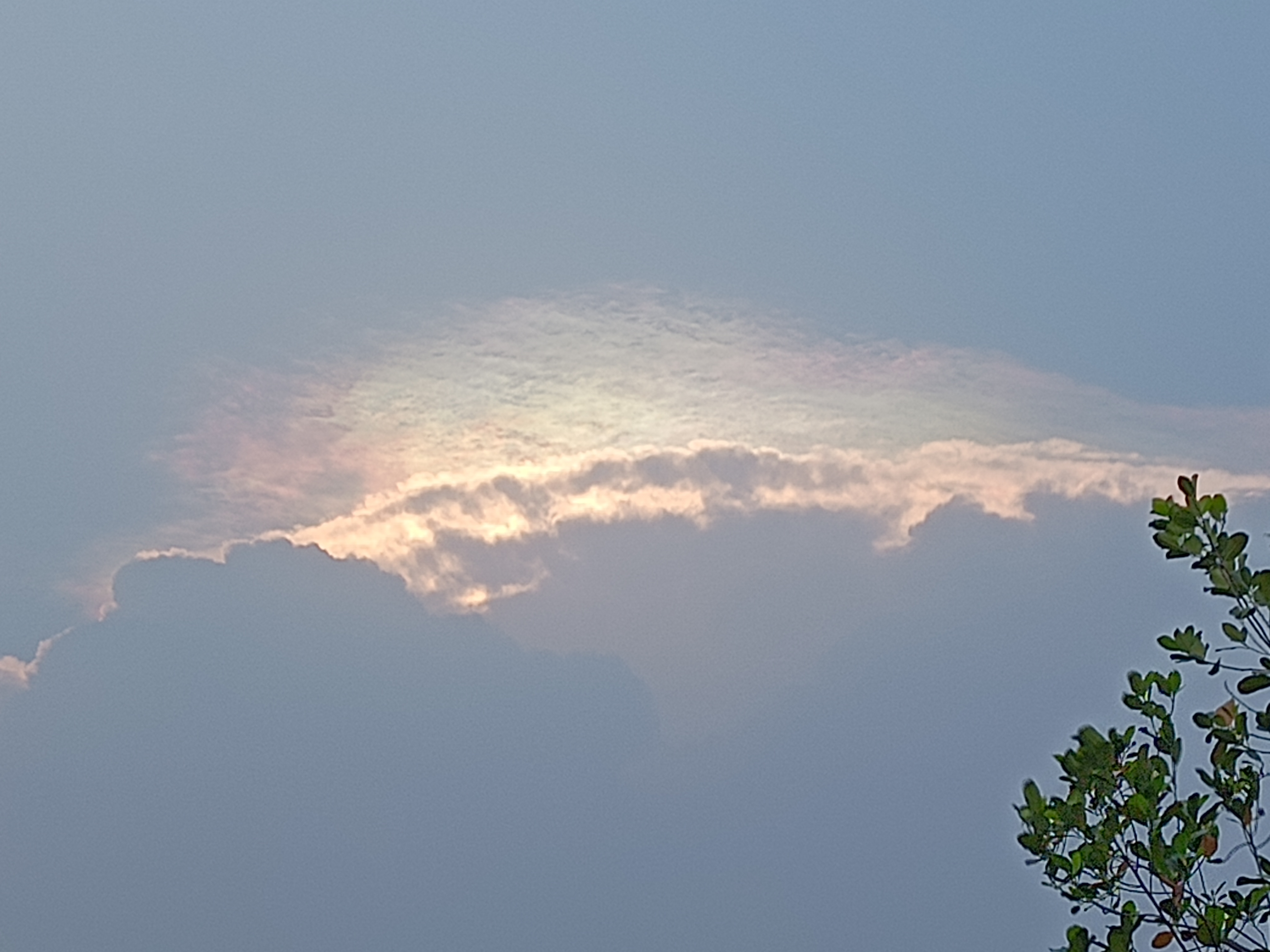 IMG 20240610 165358229