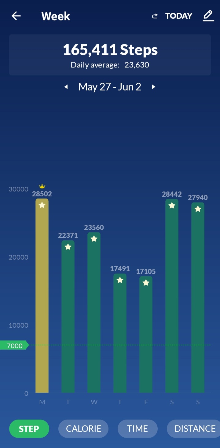 Screenshot 20240611 154934 Pedometer Step Counter