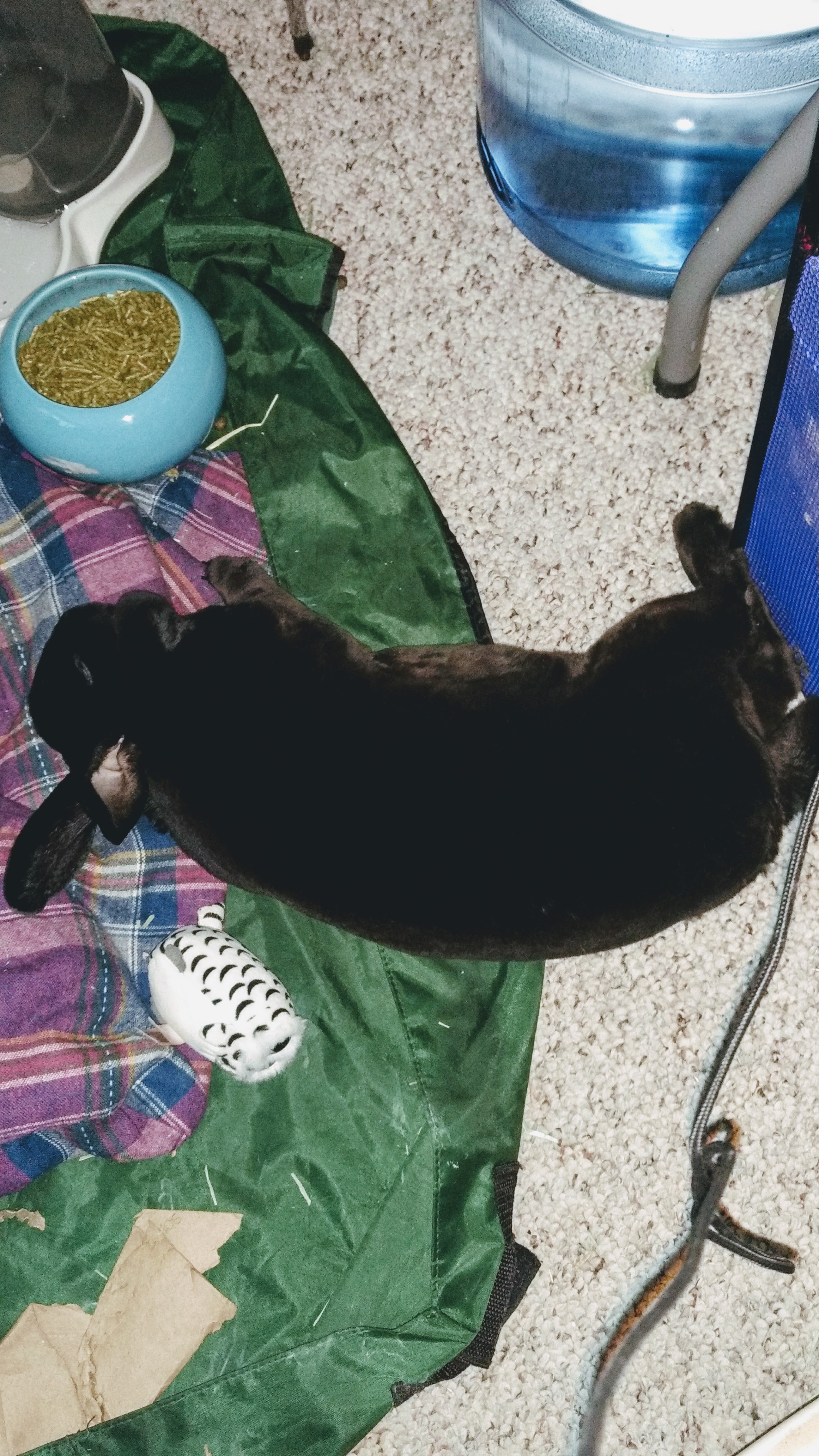 IMG 20170527 165732258