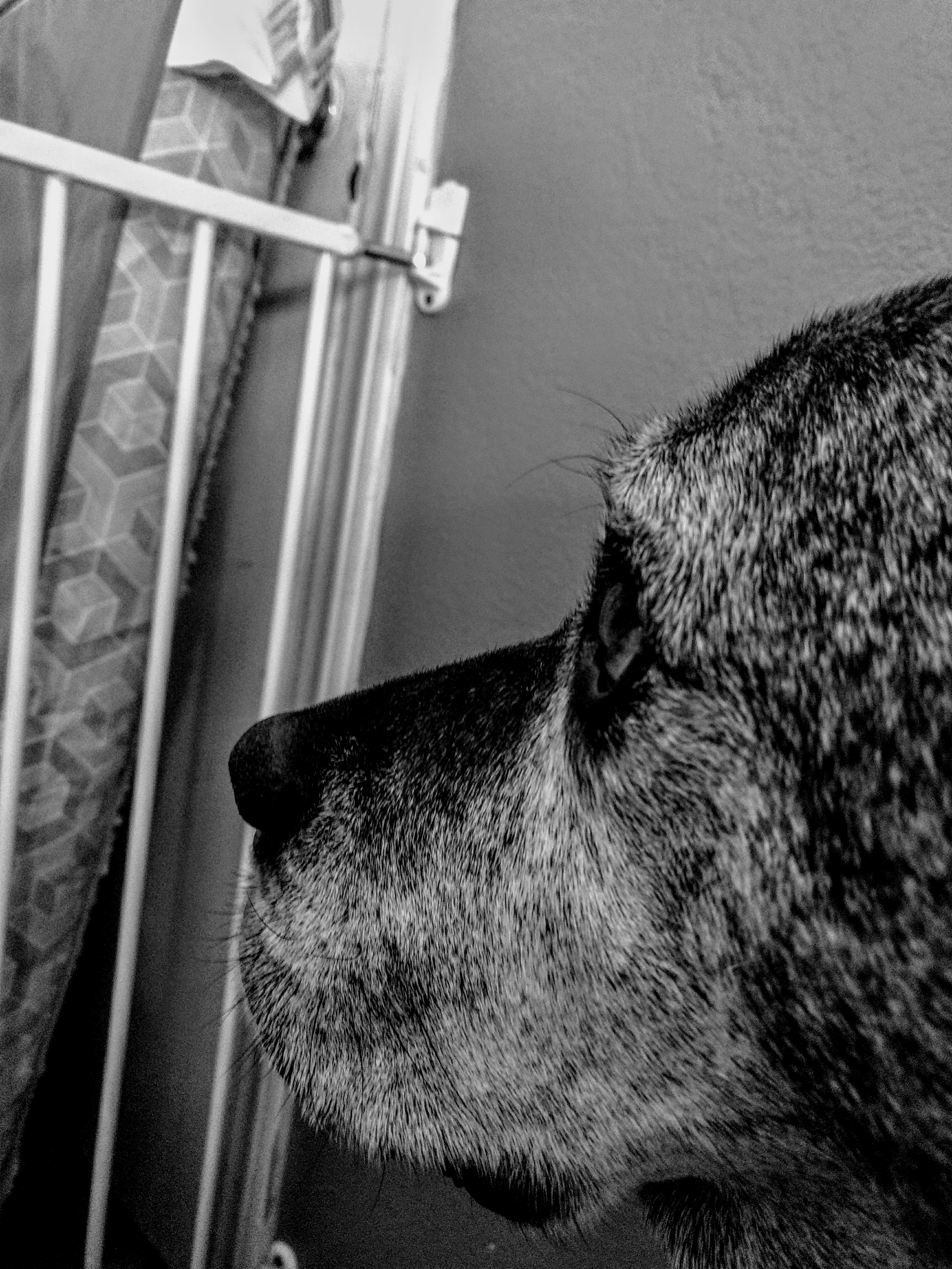 IMG 20180119 142613620