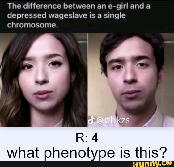 1718213036257