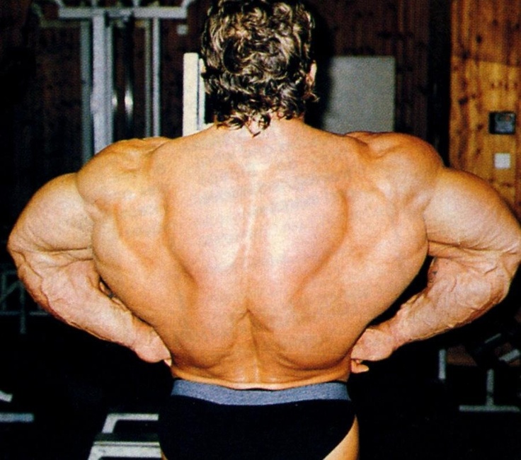 D Yates