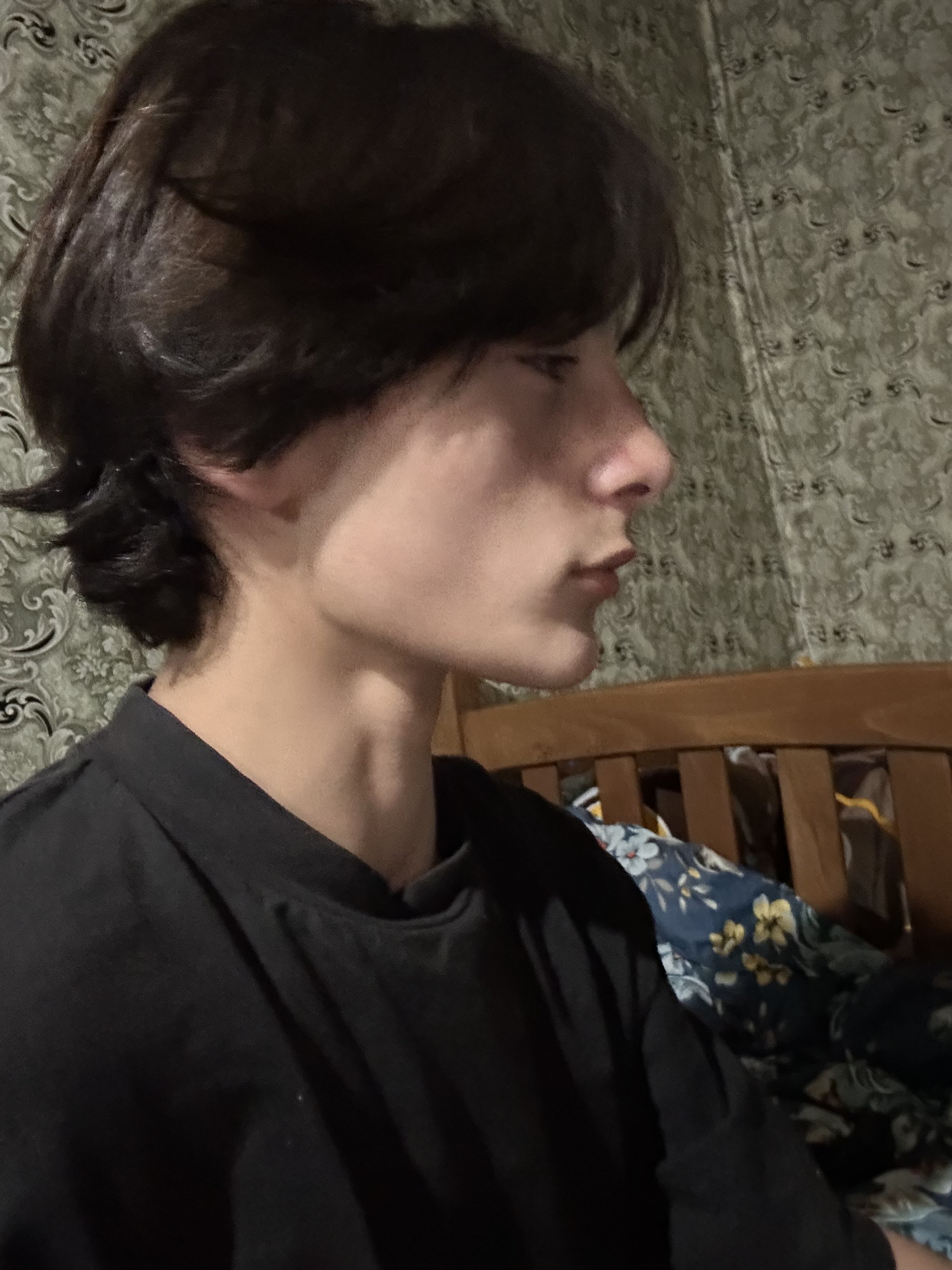 IMG 0012