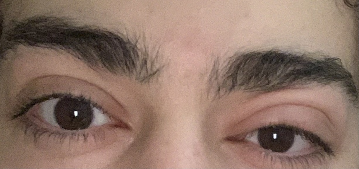 3BA2ECA6 4541 4AED B8F4 2A3D76AFED04